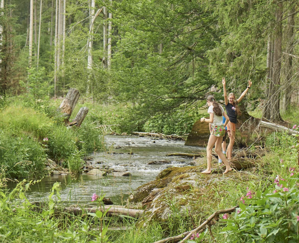 Kinder beim Spielen im Wald