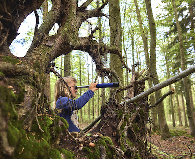 Natur entdecken im Feriendorf Schwarzholz