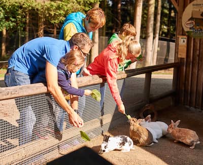 Tierpatenschaft übernehmen im Feriendorf Schwarzholz