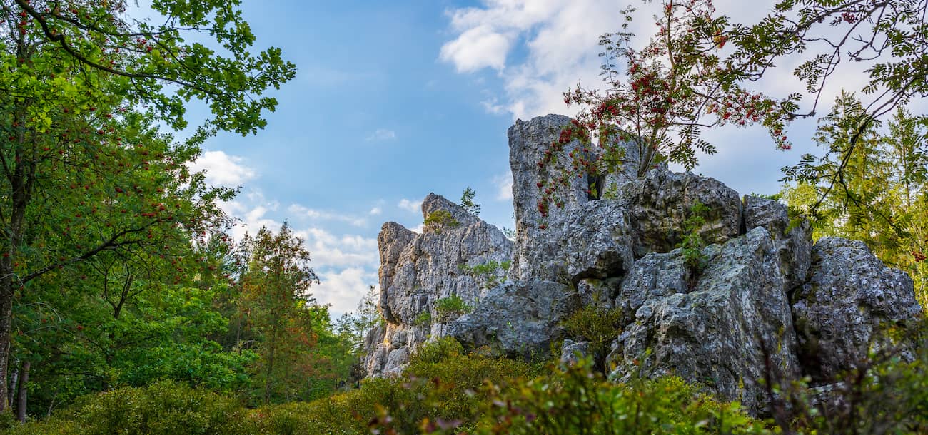 NATURERLEBNIS­PFAD GROSSER PFAHL