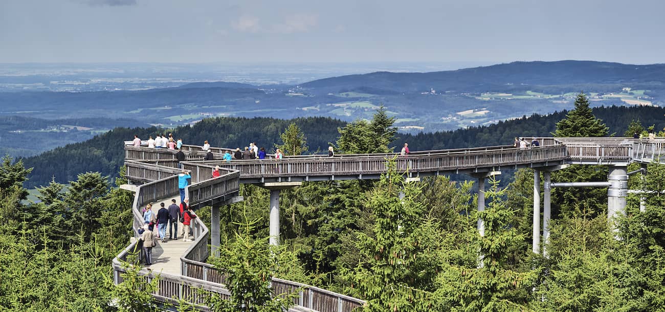 Waldwipfelweg Spiegelau