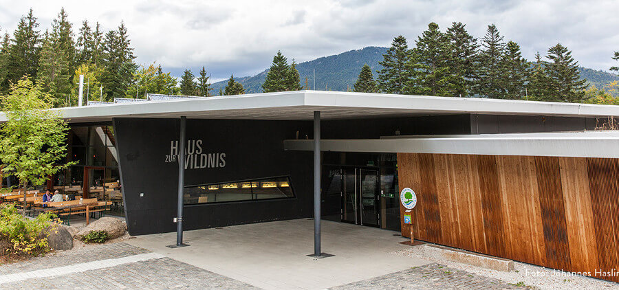 Haus zur Wildnis