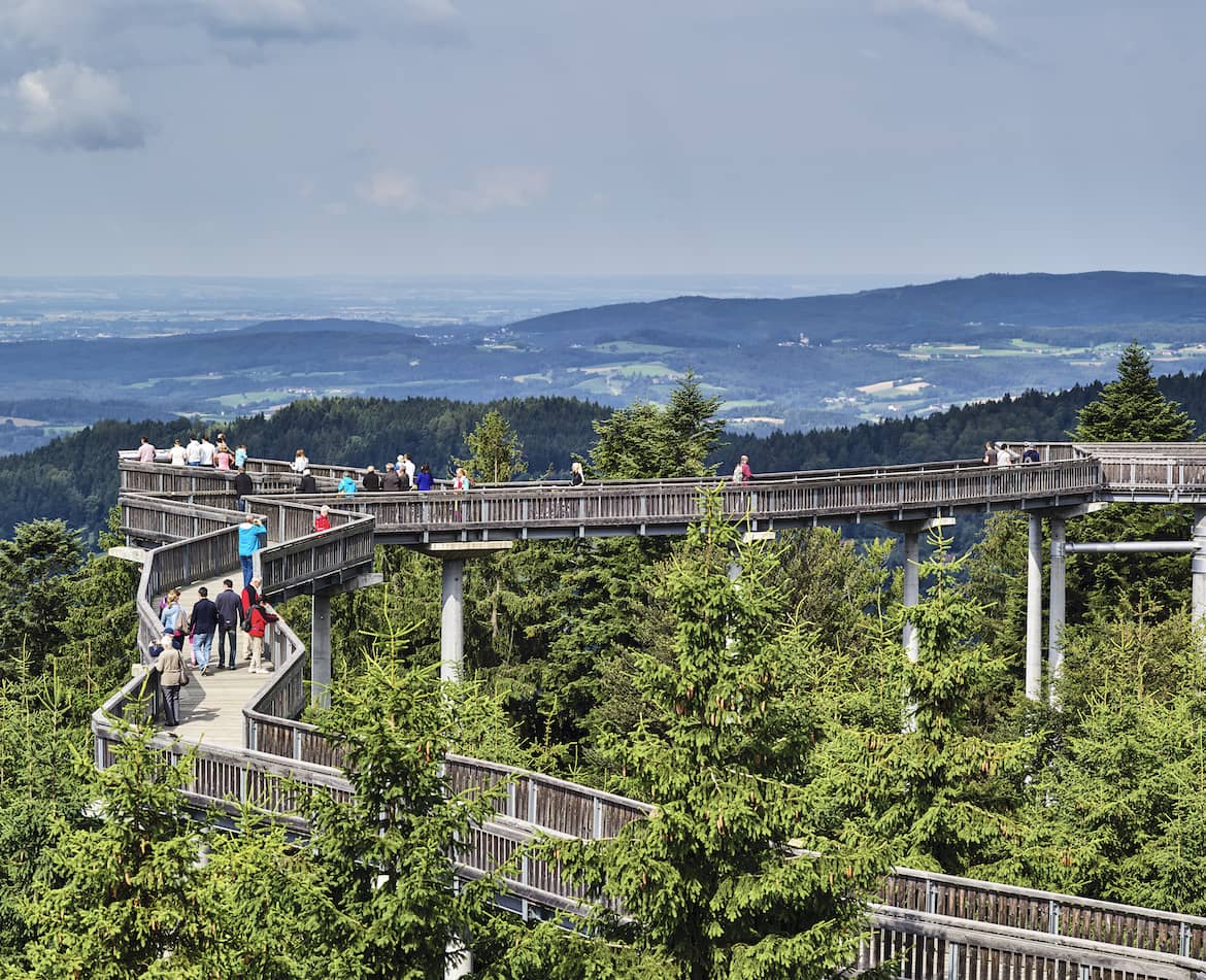 Aktivurlaub in Bayern - auf dem Waldwipfelweg