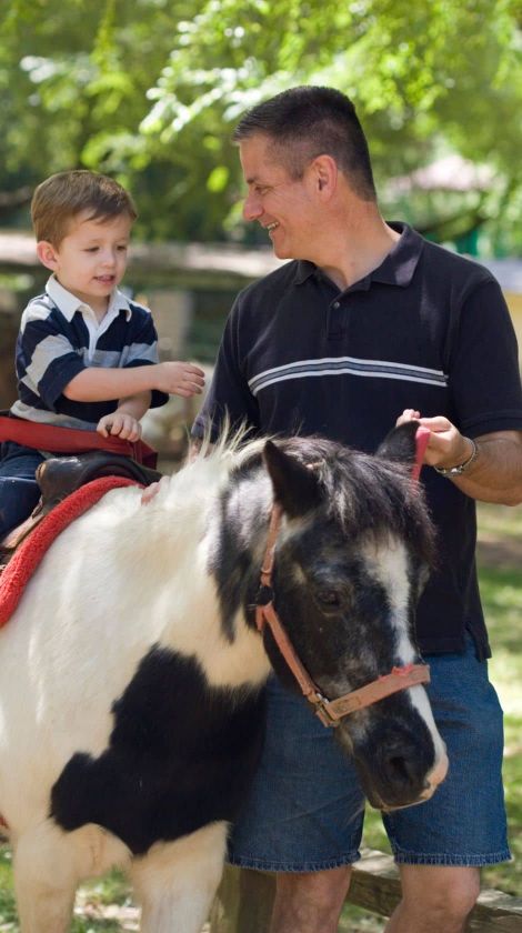 Ponyreiten für kleine Pferdefans