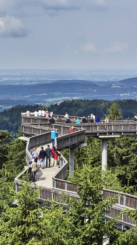 Waldwipfelweg in Bayern