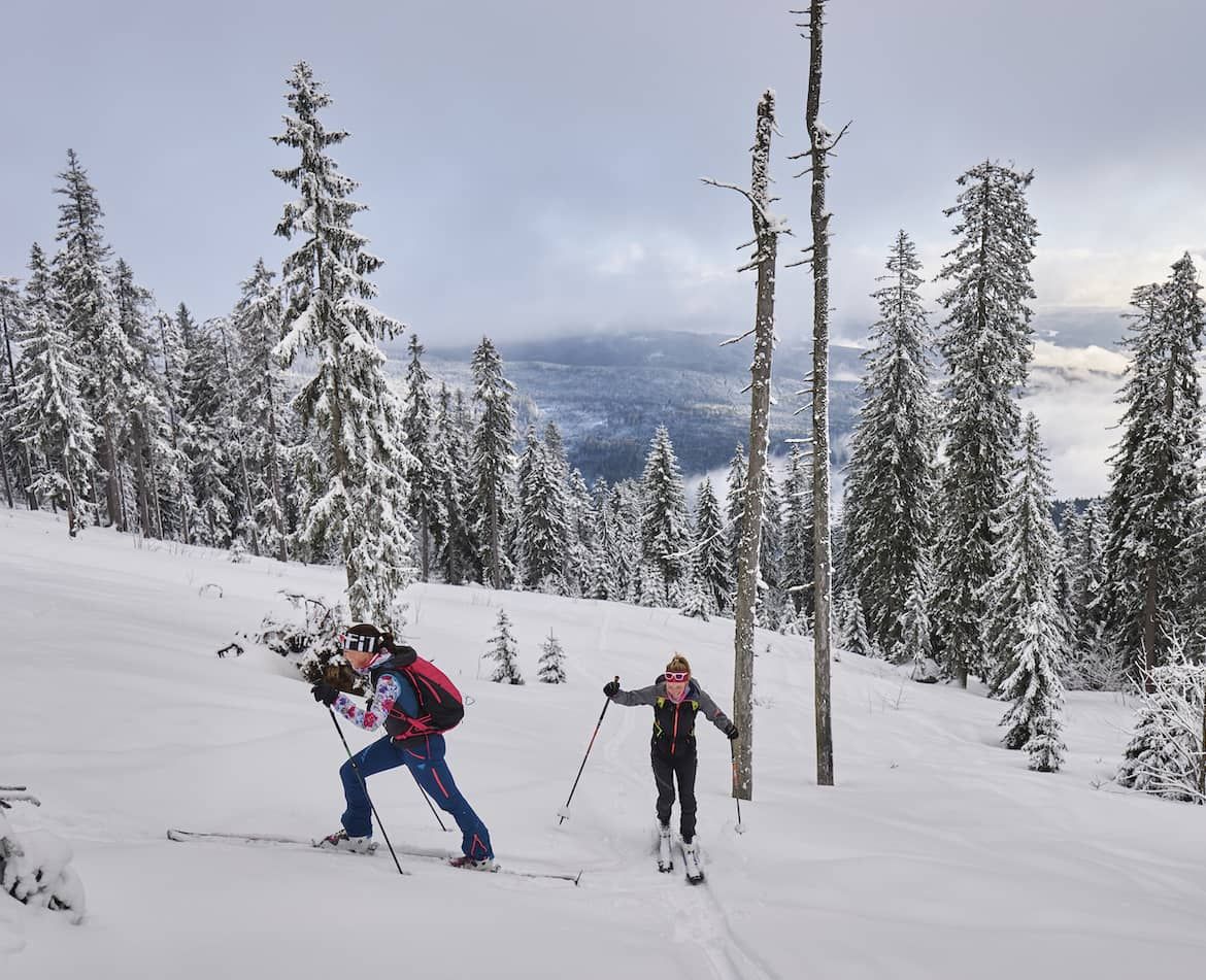 Winterurlaub im Bayerischen Wald - Skitouren gehen